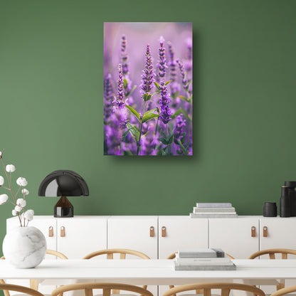Close-up van bloeiende lavendelbloemen in paars poster