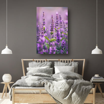 Close-up van bloeiende lavendelbloemen in paars poster
