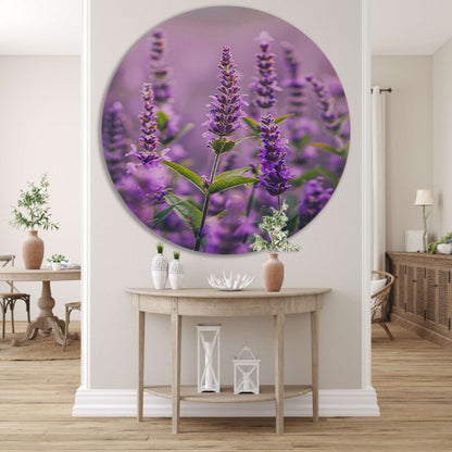 Close-up van bloeiende lavendelbloemen in paars forex muurcirkel