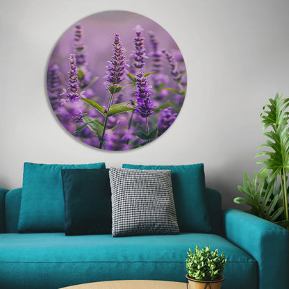 Close-up van bloeiende lavendelbloemen in paars forex muurcirkel