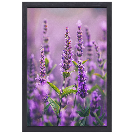 Close-up van bloeiende lavendelbloemen in paars canvas met baklijst