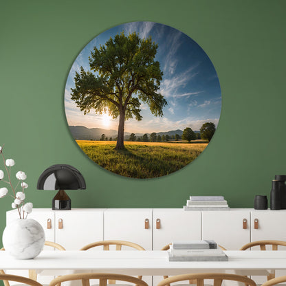 Majestueuze boom bij zonsondergang in veld aluminium muurcirkel