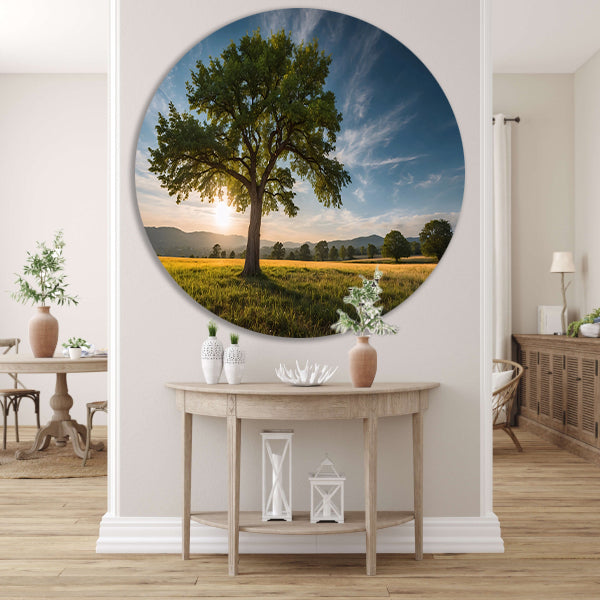 Majestueuze boom bij zonsondergang in veld aluminium muurcirkel