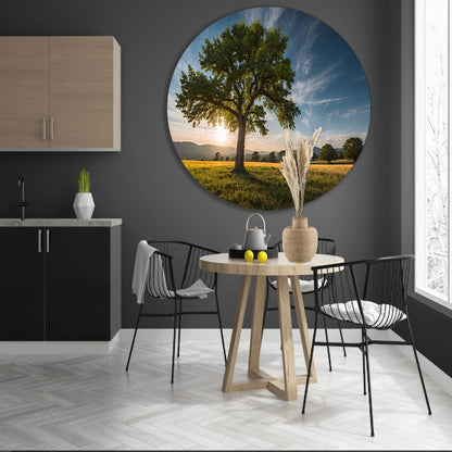 Majestueuze boom bij zonsondergang in veld aluminium muurcirkel