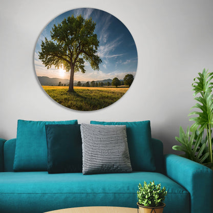 Majestueuze boom bij zonsondergang in veld aluminium muurcirkel