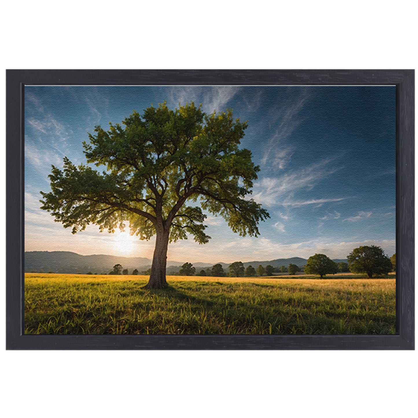 Majestueuze boom bij zonsondergang in veld canvas met baklijst