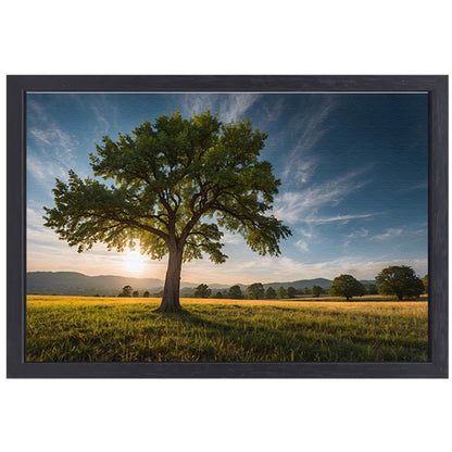 Majestueuze boom bij zonsondergang in veld canvas met baklijst