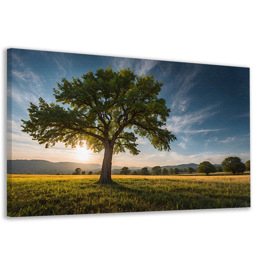 Majestueuze boom bij zonsondergang in veld canvas