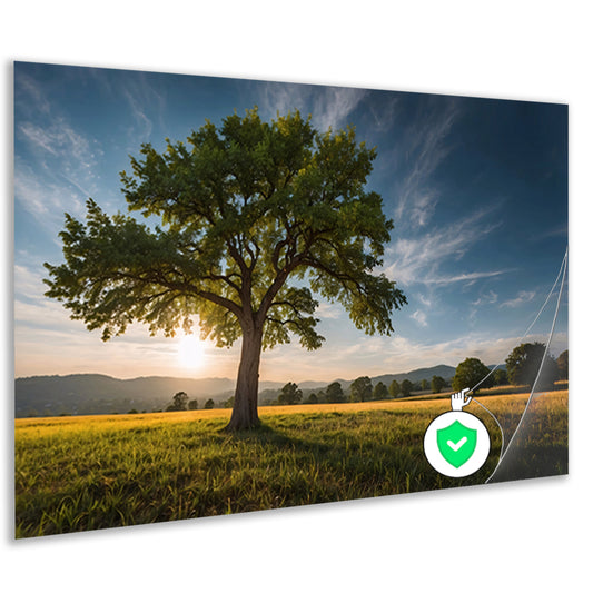 Majestueuze boom bij zonsondergang in veld poster