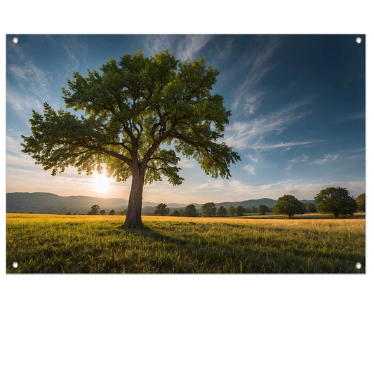 Majestueuze boom bij zonsondergang in veld tuinposter