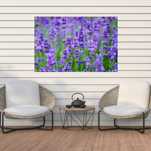 Levendig lavendelveld in volle bloei tuinposter