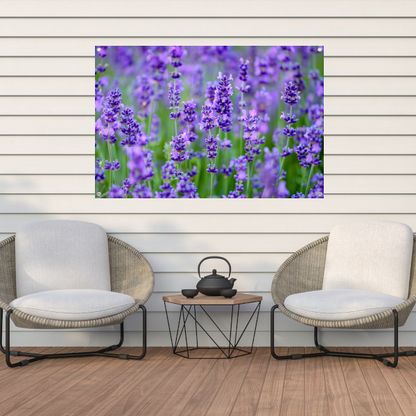 Levendig lavendelveld in volle bloei tuinposter