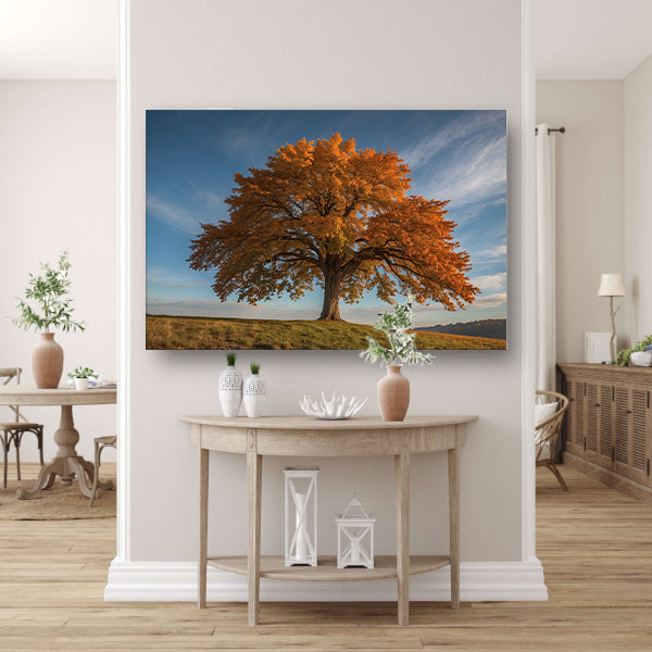 Majestueuze herfstboom in een weids landschap canvas