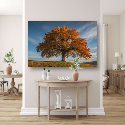 Majestueuze herfstboom in een weids landschap poster