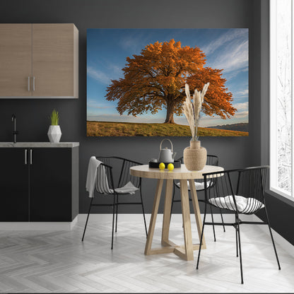 Majestueuze herfstboom in een weids landschap canvas