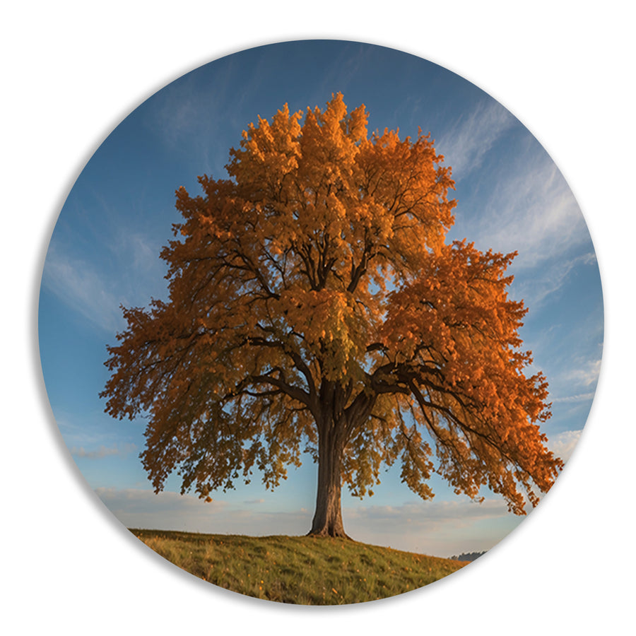Majestueuze herfstboom in een weids landschap forex muurcirkel