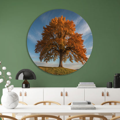 Majestueuze herfstboom in een weids landschap forex muurcirkel