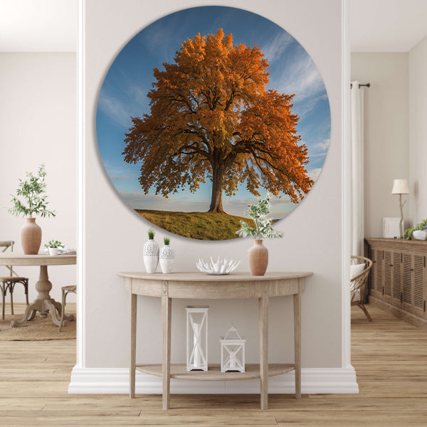 Majestueuze herfstboom in een weids landschap forex muurcirkel
