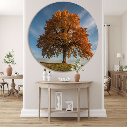Majestueuze herfstboom in een weids landschap forex muurcirkel
