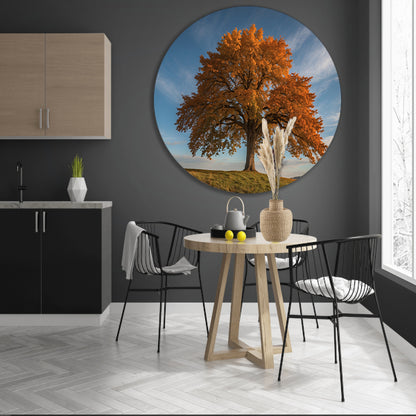 Majestueuze herfstboom in een weids landschap forex muurcirkel