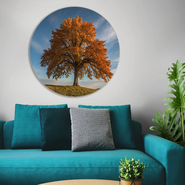 Majestueuze herfstboom in een weids landschap forex muurcirkel