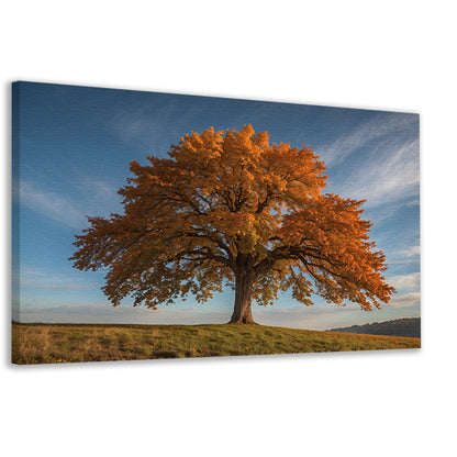 Majestueuze herfstboom in een weids landschap canvas