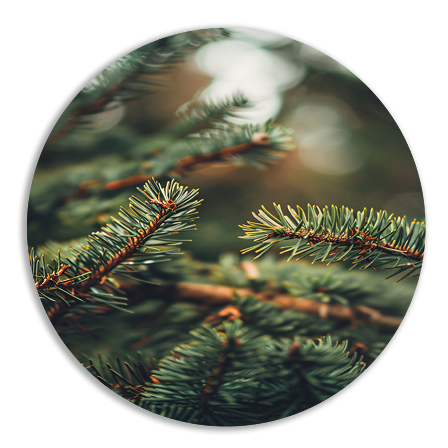 Close-up van Groene Dennennaalden met Bokeh forex muurcirkel