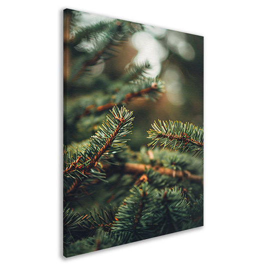 Close-up van Groene Dennennaalden met Bokeh canvas