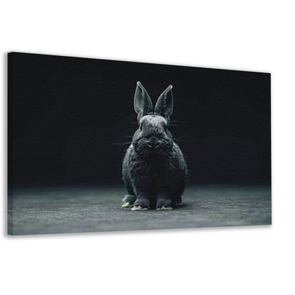 Zwart-wit konijn portret op donkere achtergrond canvas
