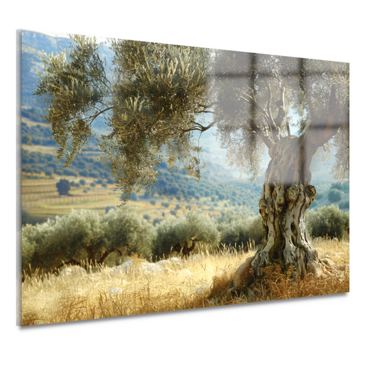 Eenzame boom in impressionistisch landschap acrylglas
