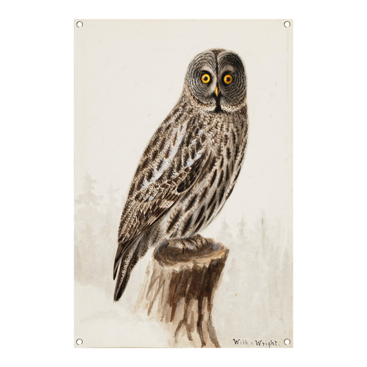 Grote Grijze Uil - Wilhelm von Wright tuinposter