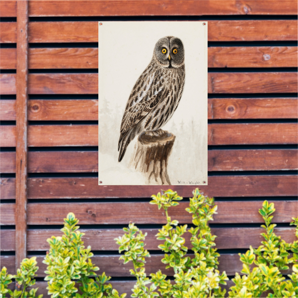Grote Grijze Uil - Wilhelm von Wright tuinposter