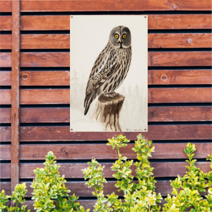 Grote Grijze Uil - Wilhelm von Wright tuinposter