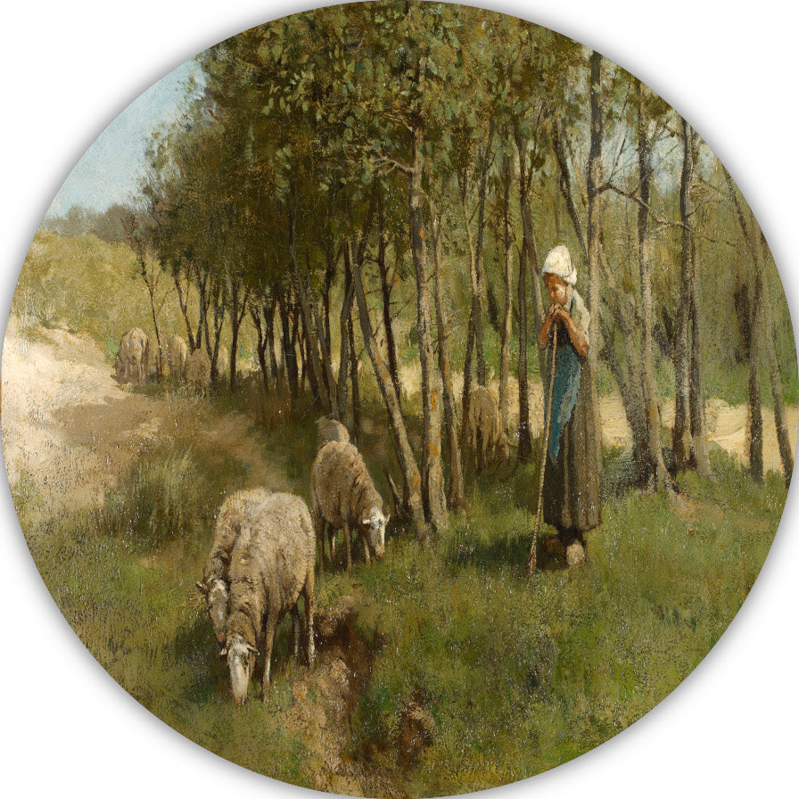 Schaap in Dekkersduin - Anton Mauve aluminium muurcirkel
