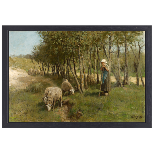 Schaap in Dekkersduin - Anton Mauve canvas met baklijst