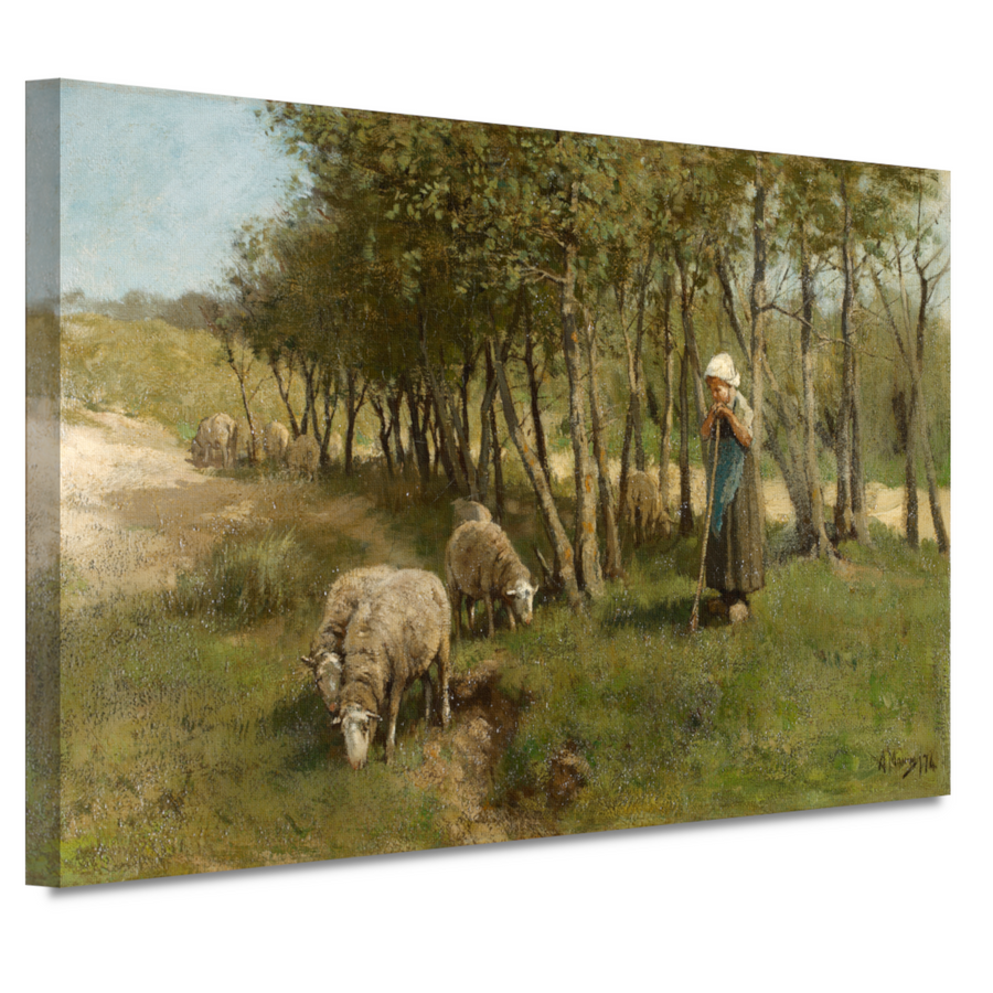 Schaap in Dekkersduin - Anton Mauve canvas