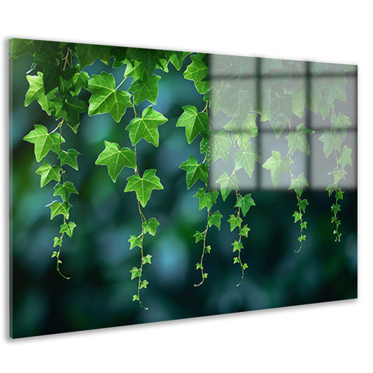 Dans van licht door hangende bladeren acrylglas