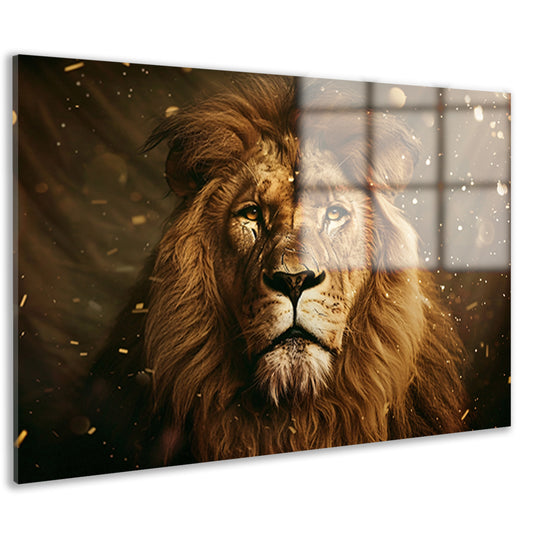 Leeuwenkop in close-up acrylglas