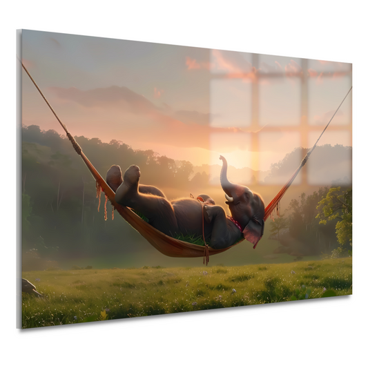 Olifant ontspant in hangmat bij zonsondergang acrylglas