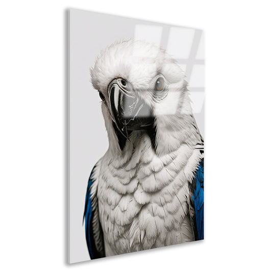 Witte Vogel met Blauwe Accenten Illustratie acrylglas