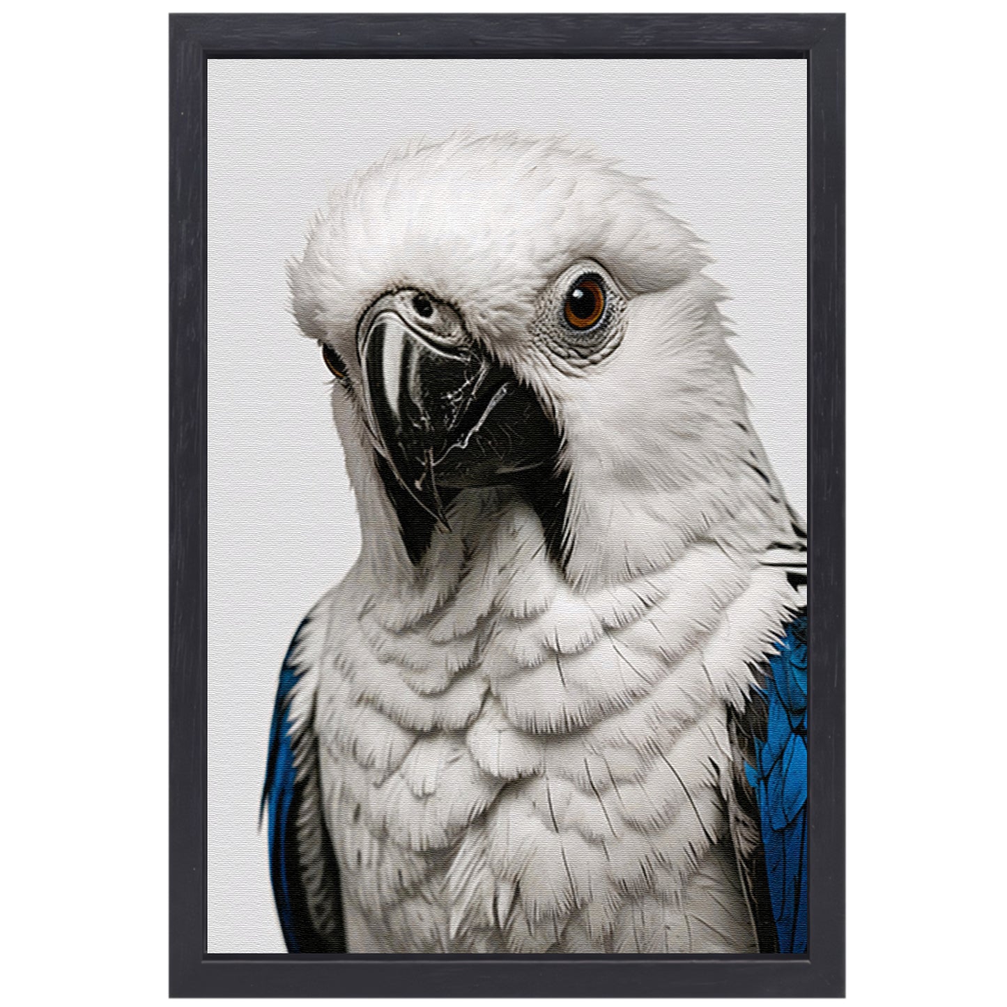 Witte Vogel met Blauwe Accenten Illustratie canvas met baklijst