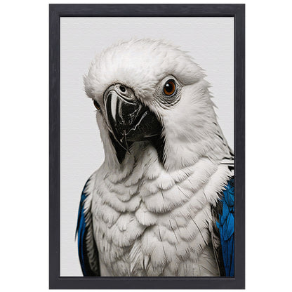 Witte Vogel met Blauwe Accenten Illustratie canvas met baklijst