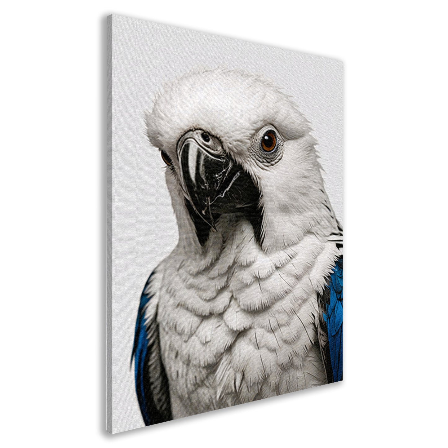 Witte Vogel met Blauwe Accenten Illustratie canvas