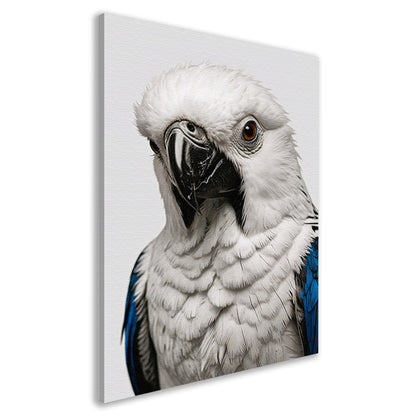 Witte Vogel met Blauwe Accenten Illustratie canvas