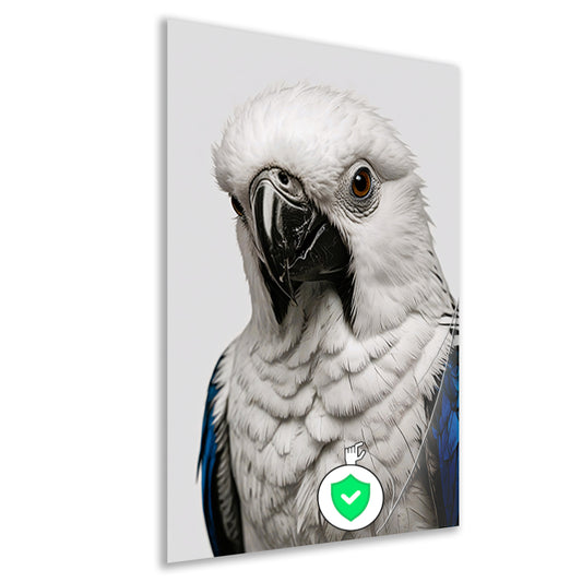 Witte Vogel met Blauwe Accenten Illustratie poster