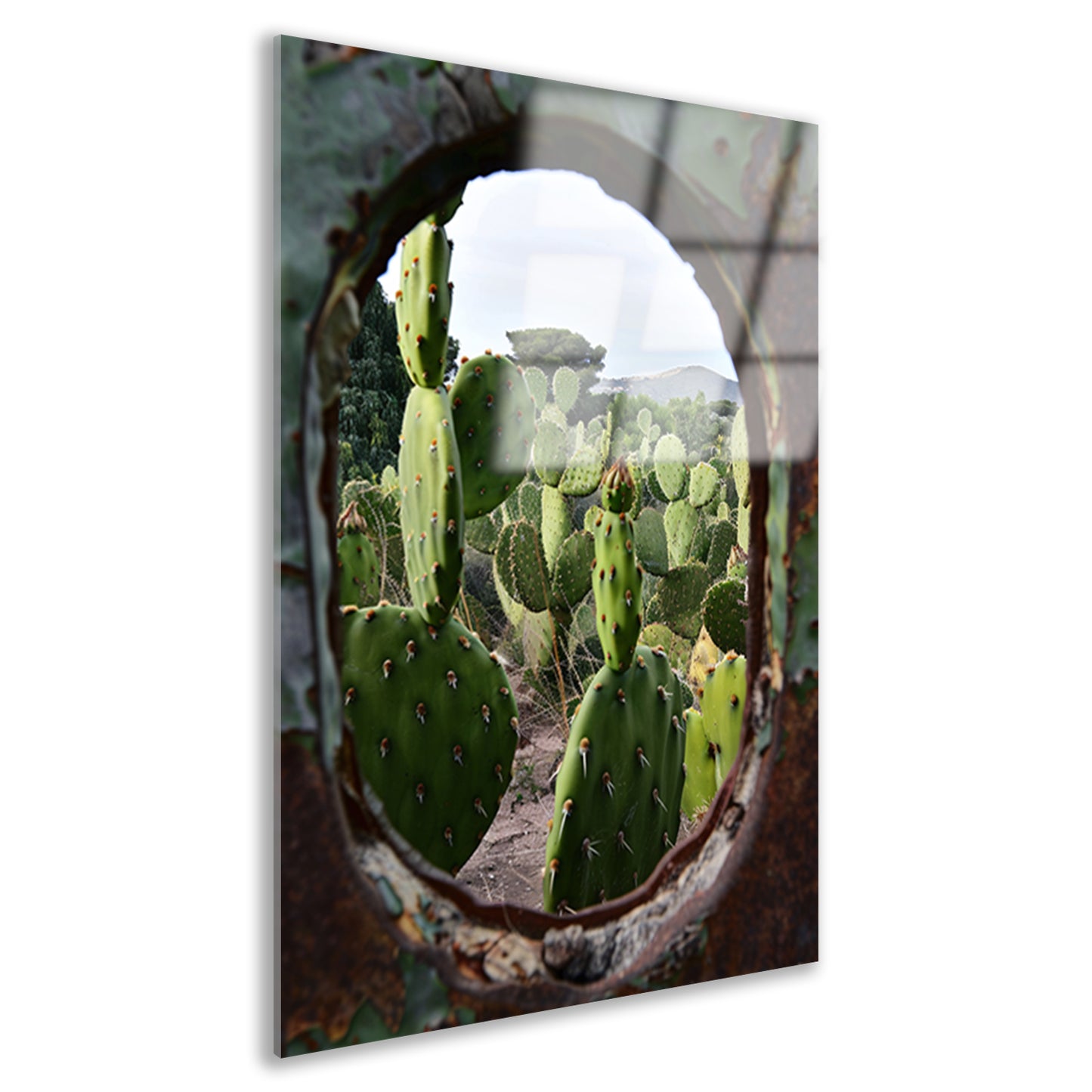 Cactustuin Gevangen in Roestig Raam acrylglas