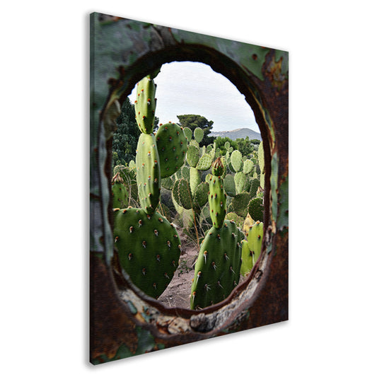 Cactustuin Gevangen in Roestig Raam canvas