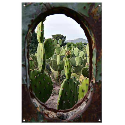 Cactustuin Gevangen in Roestig Raam tuinposter