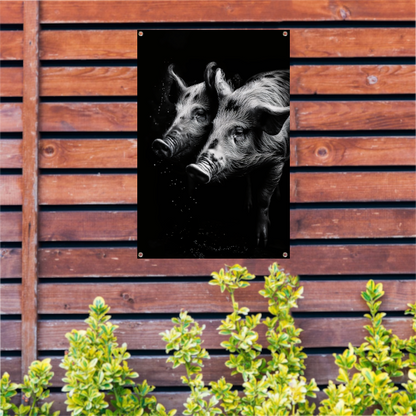 Intense blikken van zwart-wit varkens tuinposter