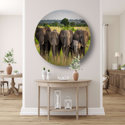 De Stille Kracht van de Natuur aluminium muurcirkel
